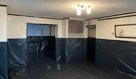 Asbestos Textured Ceiling Removal