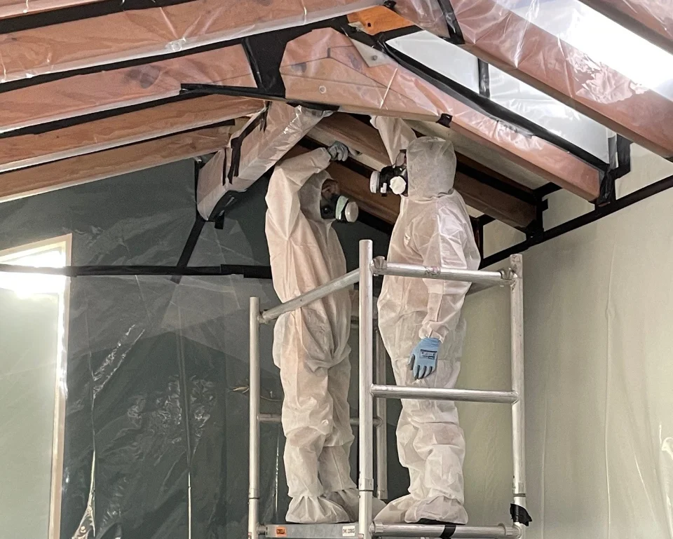 Asbestos Removal Asbestos Removal