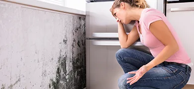 Mould Remediation