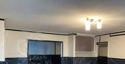 Textured Ceilings: What NZ Homeowners Need to Know 1 Textured Ceiling With Asbestos