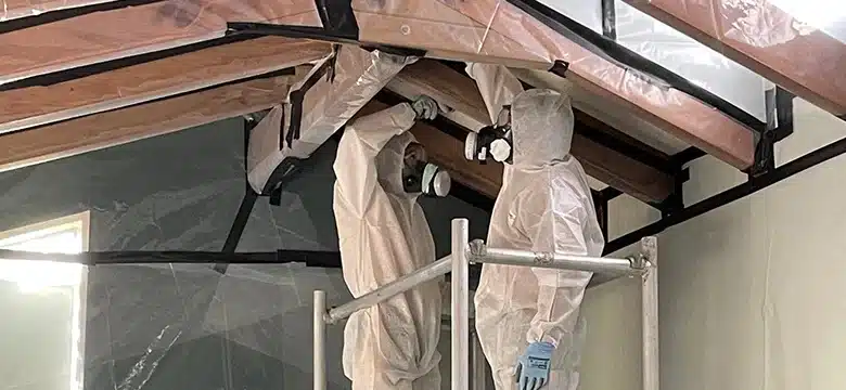 Asbestos Removal